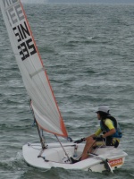 SIN 335